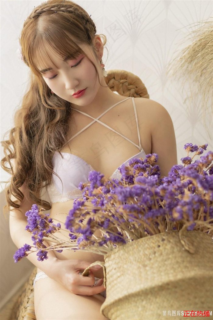 少女哔哩哔哩高清在线观看